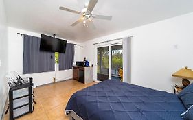 Blue Hawaiian Rentals